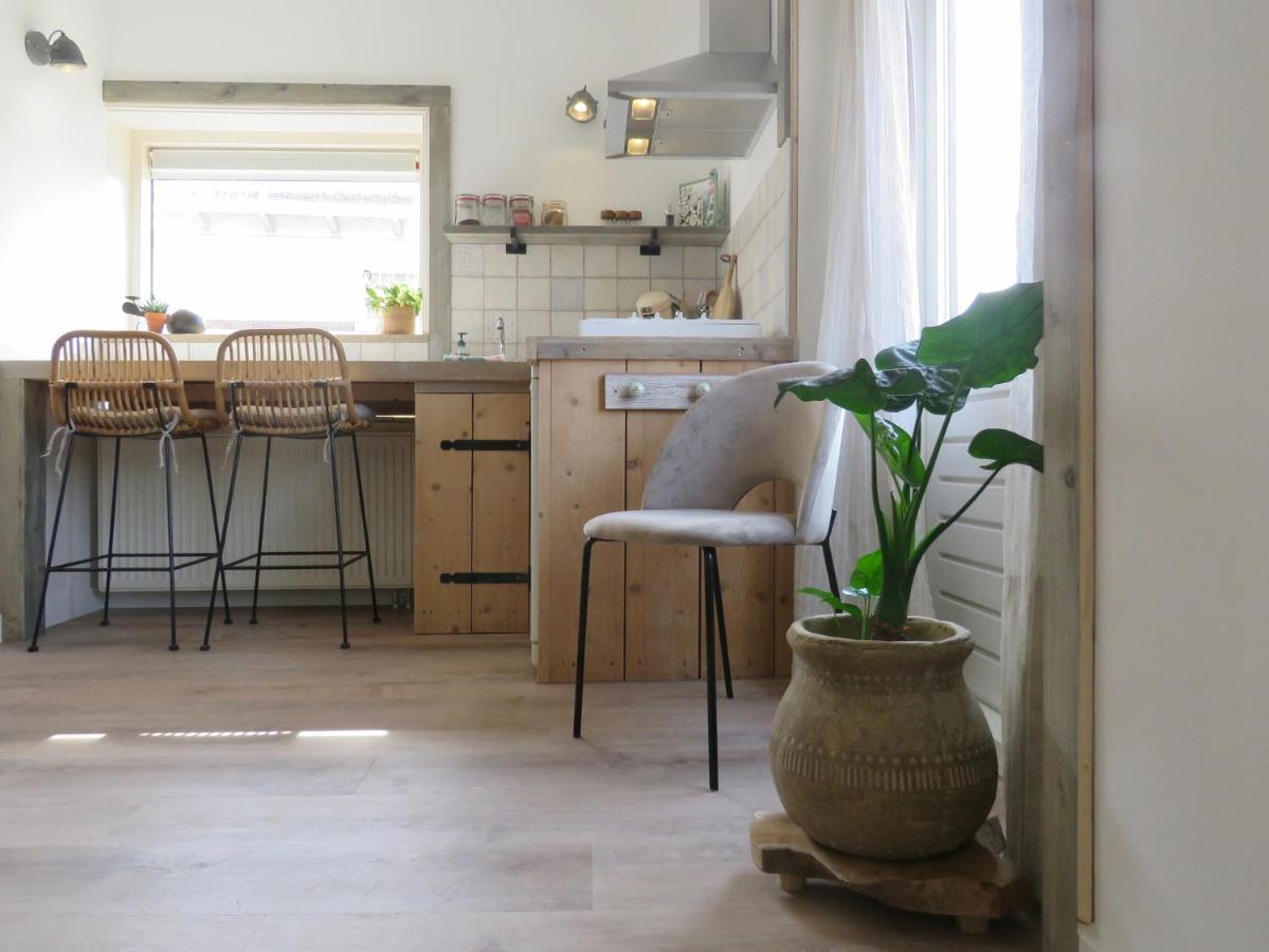 Casa Duna Close To The Beach, City Centre, Dunes And Parking Area Zandvoort Exteriör bild